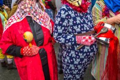 2015_Mummers_Parade_by_Brian_Carey-20151219-0034