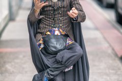 Aaardvark the Incredible